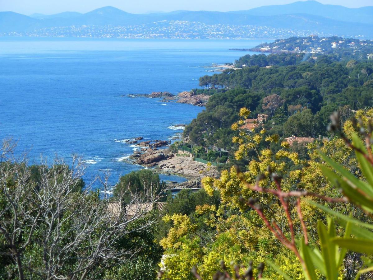 Duplex, Vue Panoramique Sur La Mediterranee, Piscine, Garage แซ็งต์-ราฟาเอล ภายนอก รูปภาพ