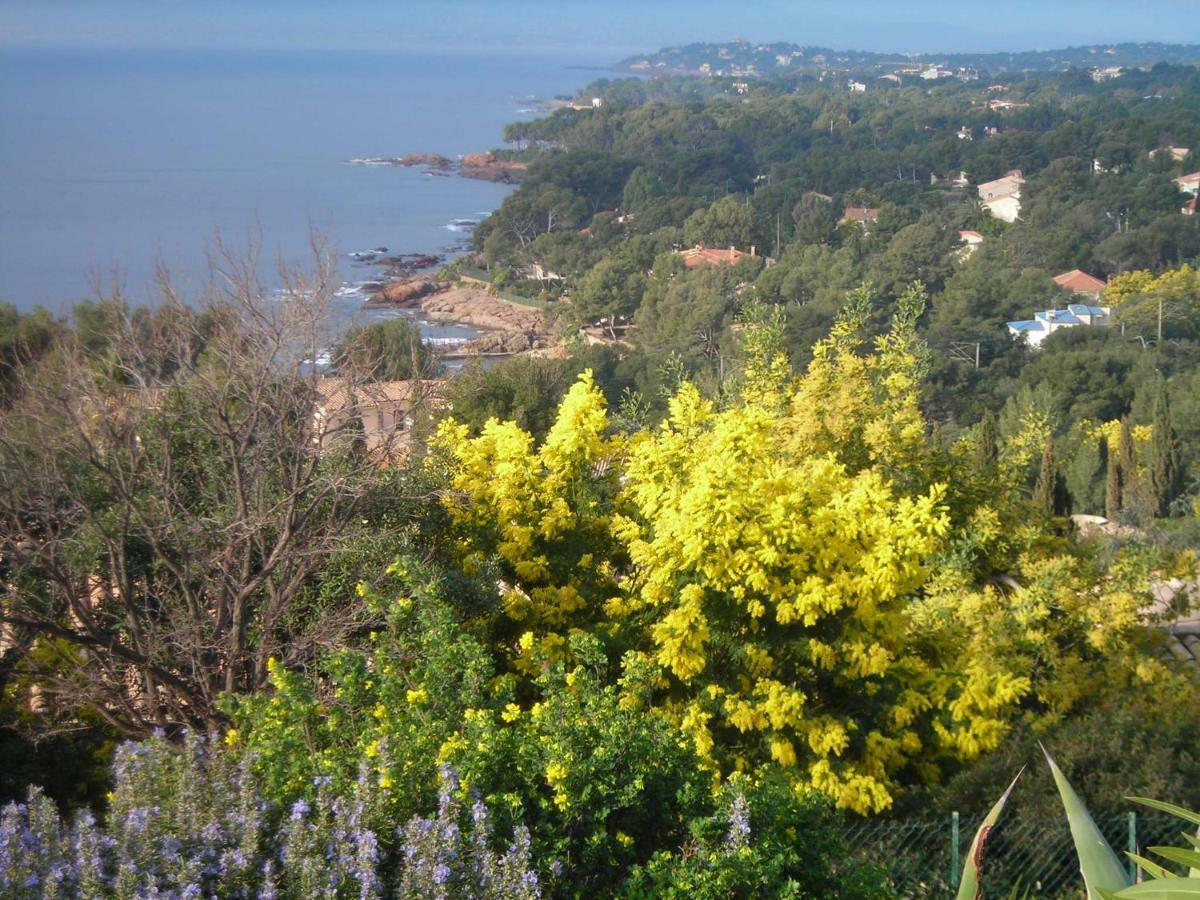 Duplex, Vue Panoramique Sur La Mediterranee, Piscine, Garage แซ็งต์-ราฟาเอล ภายนอก รูปภาพ